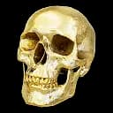 Gold Skull