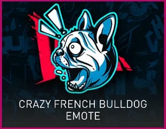 Crazy French Bulldog
