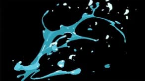 Aquatic Splash
