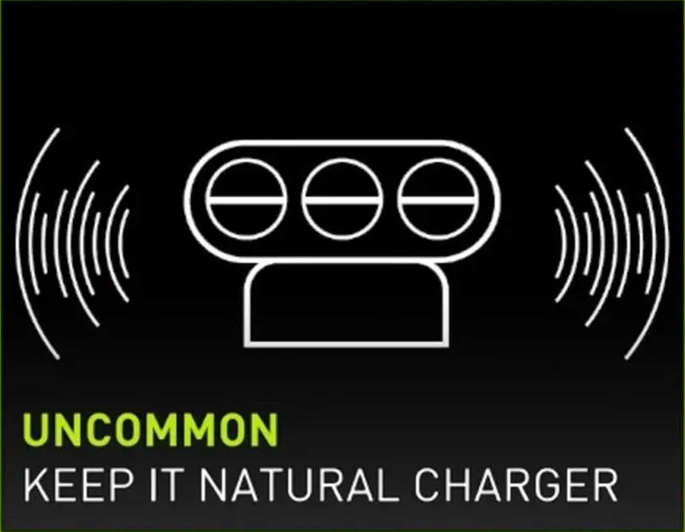 Keep IT Natural Charger - Uncommon